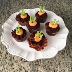 Sprouting Carrot Chocolate Cupcakes